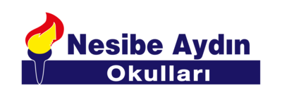 Nesibe Aydın